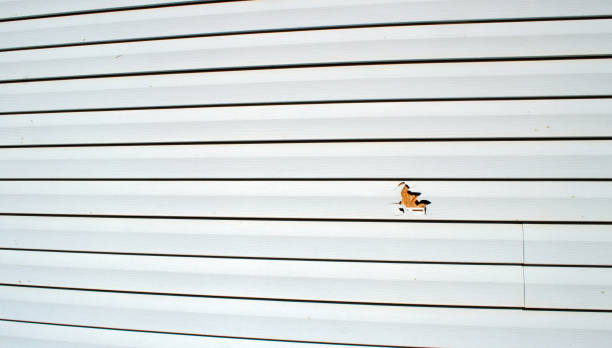 Midland, WA Siding Installation & Repair Company